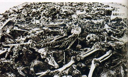 中华人民共和国大事记(1954年)