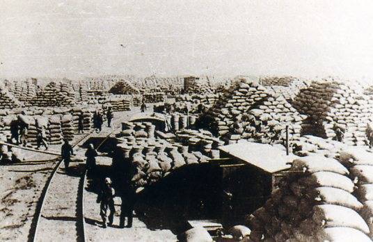 中华人民共和国大事记(1954年)