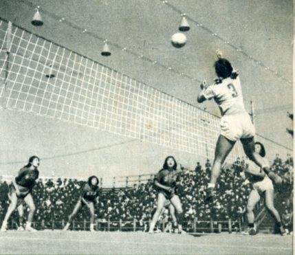 中华人民共和国大事记(1955年)