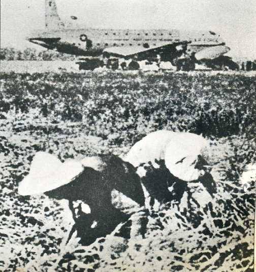 中华人民共和国大事记(1954年)