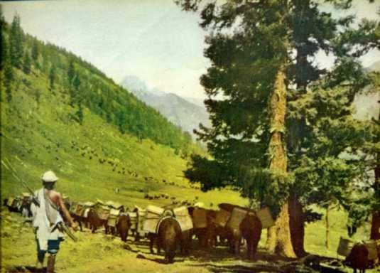 中华人民共和国大事记(1954年)