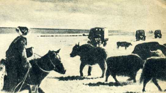 中华人民共和国大事记(1954年)