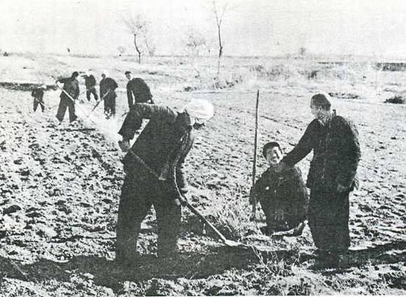 中华人民共和国大事记(1953年)