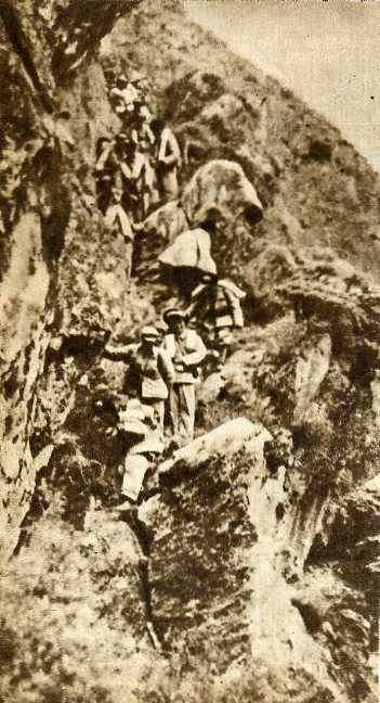 中华人民共和国大事记(1950年)