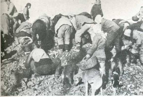 中华民国大事记(1948年)