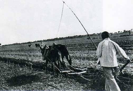 中华民国大事记(1947年)