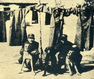 中华民国大事记(1941年)