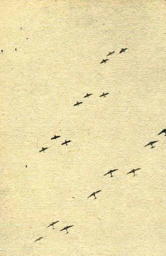 中华民国大事记(1939年)