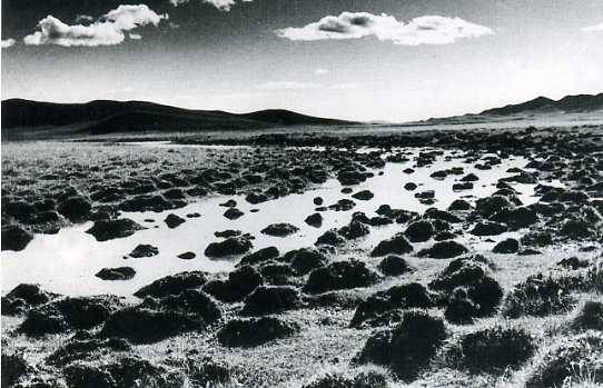 中华民国大事记(1935年)