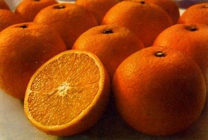 中华人民共和国大事记(1966年)