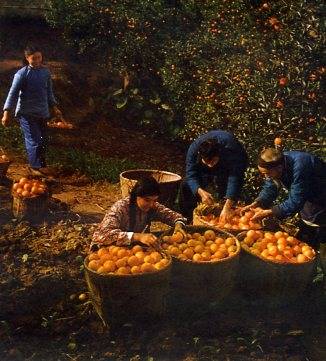 中华人民共和国大事记(1966年)