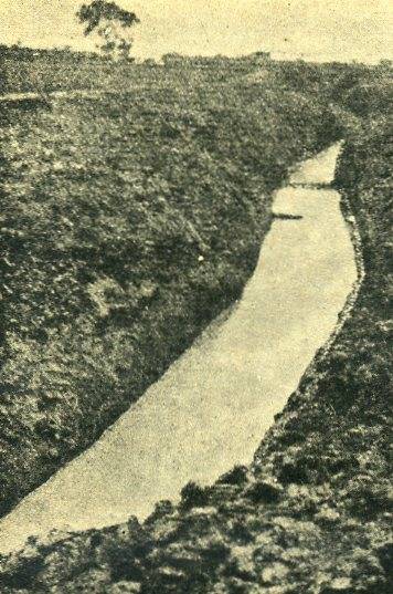 中华民国大事记(1931年)