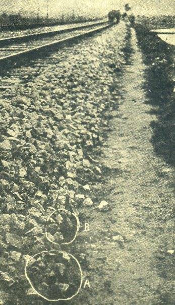 中华民国大事记(1931年)