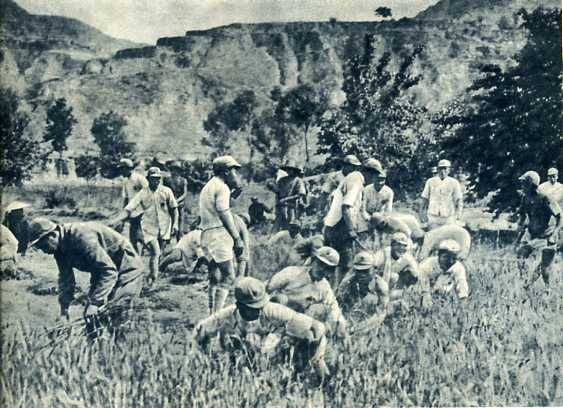 中华民国大事记(1930年)