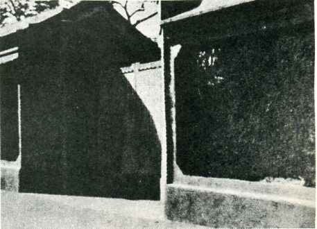 中华民国大事记(1919年)