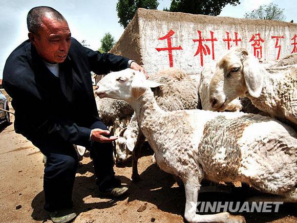 共和国档案——1991年:扶贫攻坚