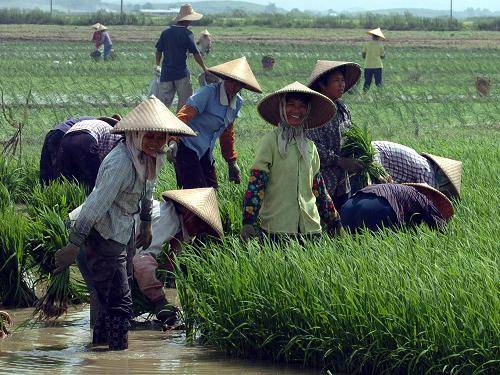 共和国档案——2005年:废除农业税