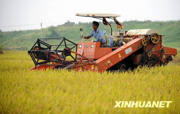 共和国档案——2009年:共克时艰