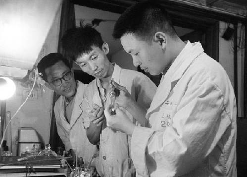 新中国足迹:我国首次人工合成结晶牛胰岛素蛋白