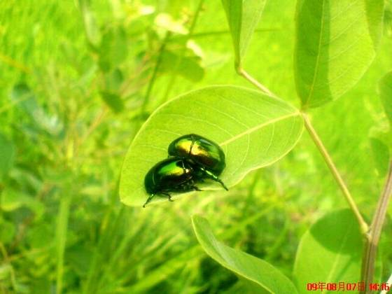 美丽桂东大家拍【组图】 美丽桂东大家拍【组图】