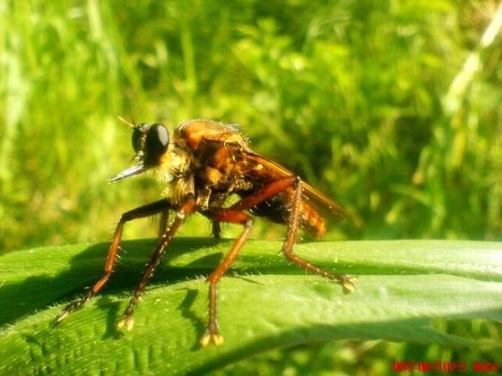 美丽桂东大家拍【组图】 美丽桂东大家拍【组图】