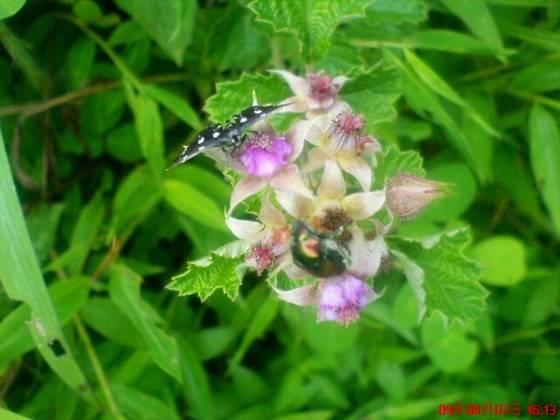 美丽桂东大家拍【组图】 美丽桂东大家拍【组图】