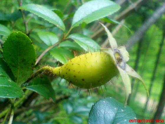 美丽桂东大家拍【组图】 美丽桂东大家拍【组图】