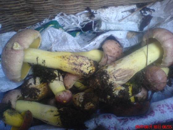 美丽桂东大家拍【组图】 美丽桂东大家拍【组图】