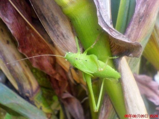 美丽桂东大家拍【组图】 美丽桂东大家拍【组图】