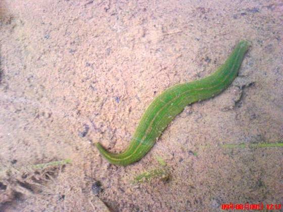 美丽桂东大家拍【组图】 美丽桂东大家拍【组图】