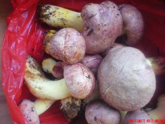 美丽桂东大家拍【组图】 美丽桂东大家拍【组图】