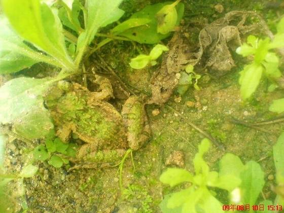 美丽桂东大家拍【组图】 美丽桂东大家拍【组图】