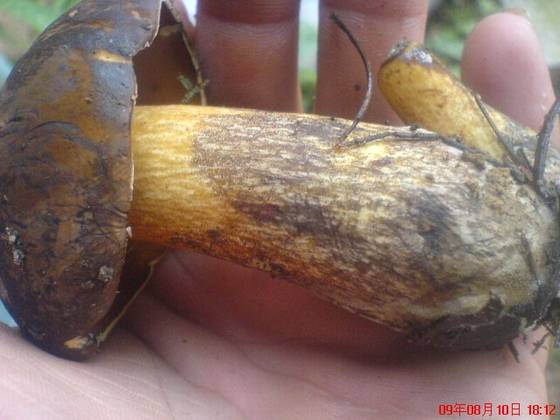 美丽桂东大家拍【组图】 美丽桂东大家拍【组图】