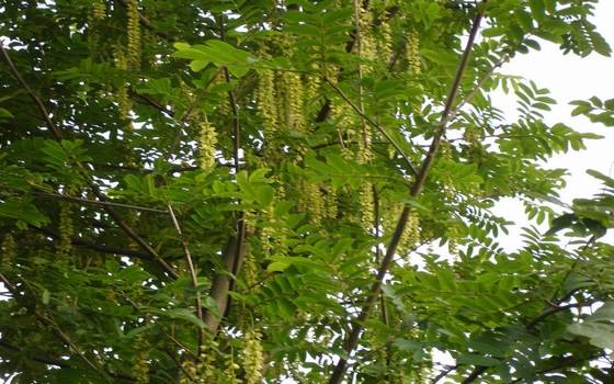 美丽桂东大家拍【组图】 美丽桂东大家拍【组图】