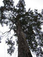 美丽桂东大家拍【组图】 美丽桂东大家拍【组图】