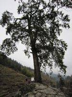 美丽桂东大家拍【组图】 美丽桂东大家拍【组图】