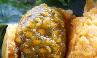 桂东特产牛郎果