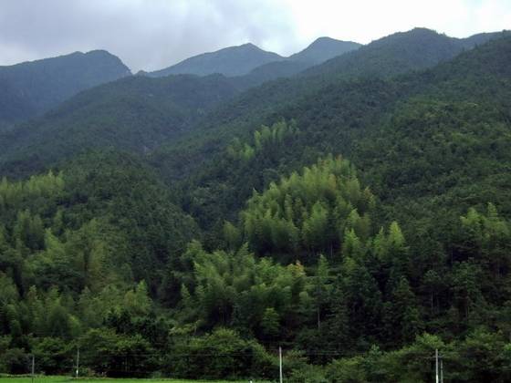 桂东大岭青鹅仙的传说 桂东大岭青鹅仙的传说