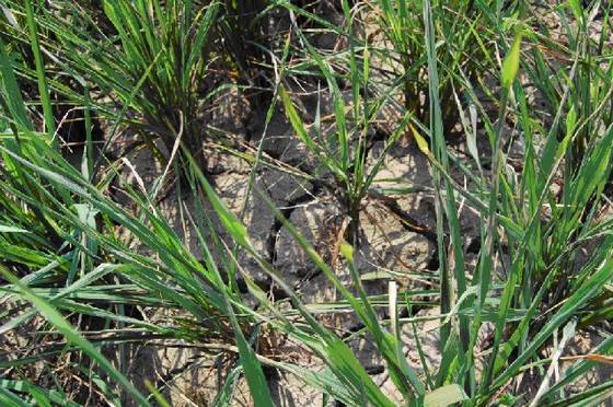 《桂东县志》地理环境 《桂东县志》地理环境