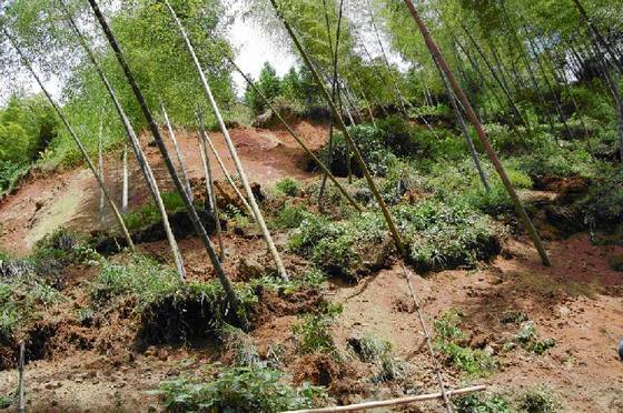 《桂东县志》地理环境 《桂东县志》地理环境