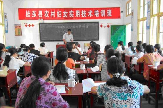 《桂东县志》群团 《桂东县志》群团