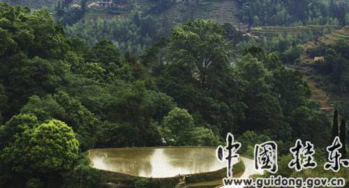 桂东——红色土地 绿色屏障 桂东——红色土地 绿色屏障