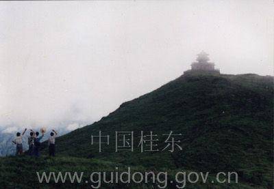 桂东山歌 - 相思桂花城 - 桂东县老科技工作者协会 桂东山歌 - 相思桂花城 - 桂东县老科技工作者协会