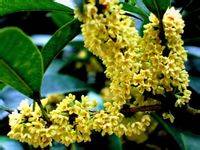 郭名德作品选之散文卷七 郭名德作品选之散文卷七