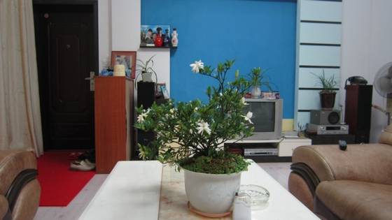 陈淡然作品选 图片