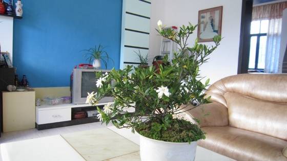 陈淡然作品选 图片