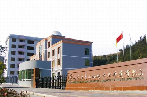 邓建中作品选之家乡情深 邓建中作品选之家乡情深