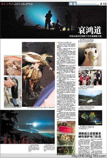 长沙晚报之哀鸿道 长沙晚报之哀鸿道