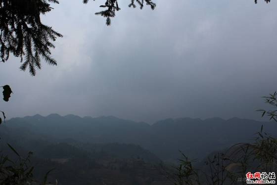 IMG_5186.JPG IMG_5186.JPG