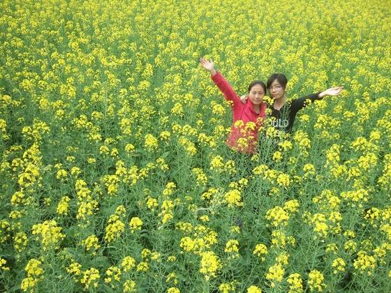 桂东新坊将军石传奇 图片